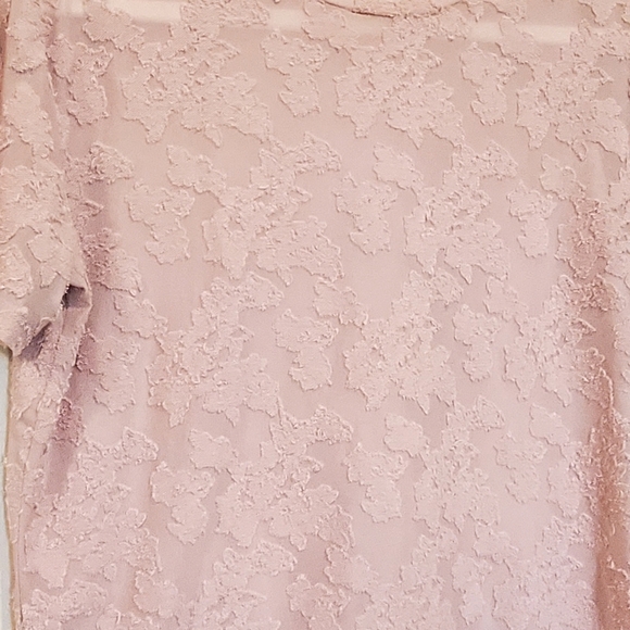 Wilfred Aritizia Dusty Pink Stretchy Sheer Floral Jacquard Top, Med. EUC - Picture 6 of 15